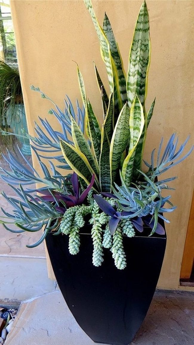 Vertical Green And Cascading Pale Stems