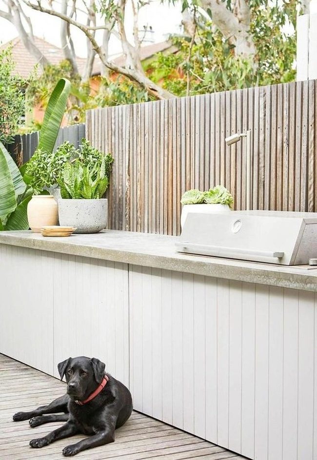 White Kitchen Garden With Friendly Dog