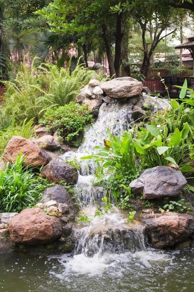 Cascading Water Garden Oasis