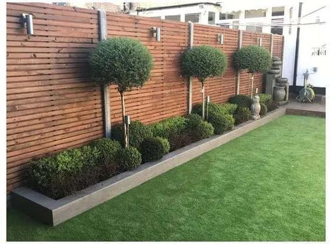 Shiny Green Boxwood Fence Hedges