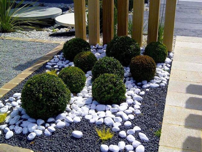 Clipped Boxwoods Meet Monochrome Gravel