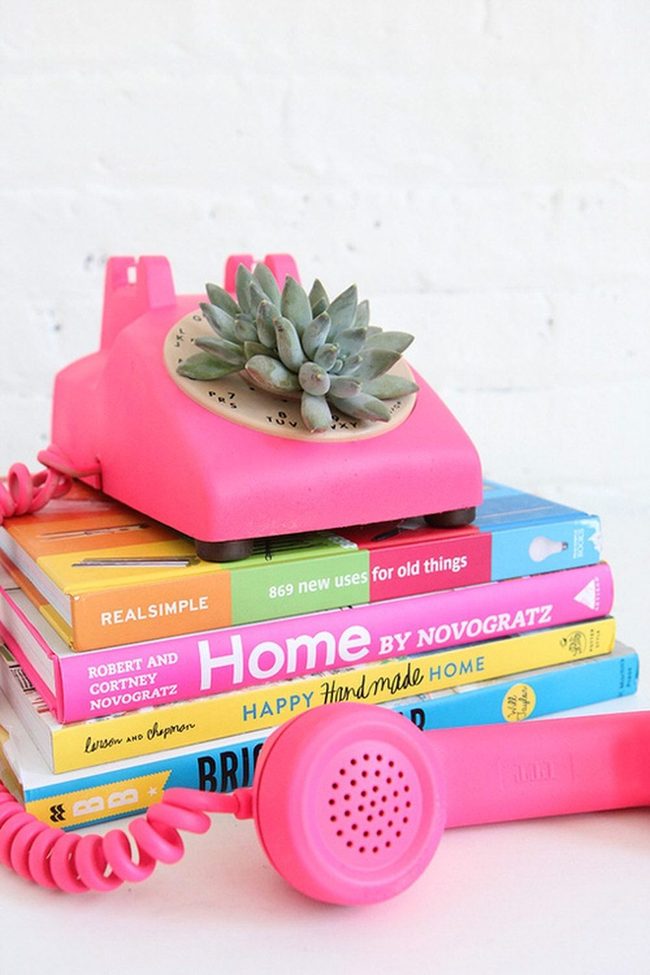Vintage Containers Hold Tiny Succulents