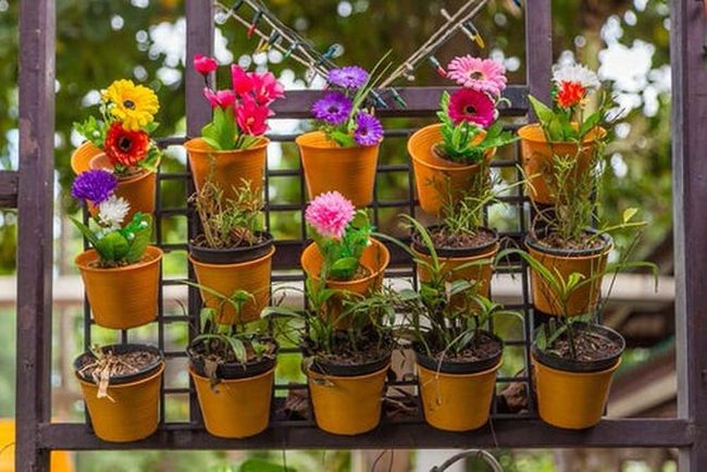 Potted Flowers Transform Bland Fences