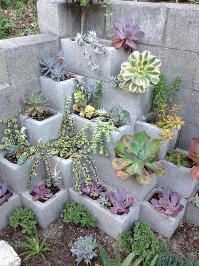 Concrete Blocks With Layered Succulents
