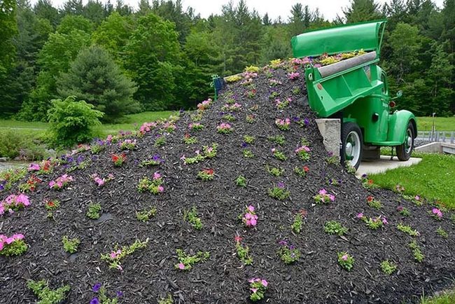 Vintage Truck Bursting With Blooms