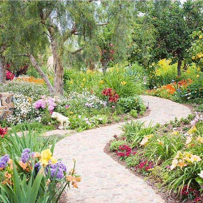 Drought-Tough Perennials For Shade