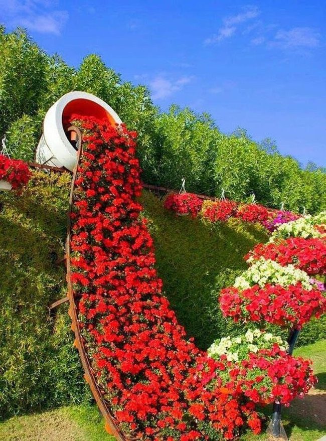Red And White Flower Cascade