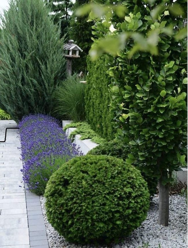 Purple Flowers Meet Smooth Gray Stone
