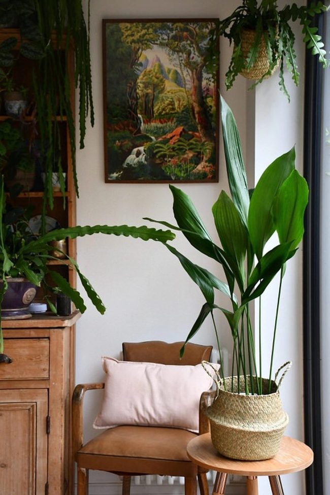 Green Foliage Meets Framed Art