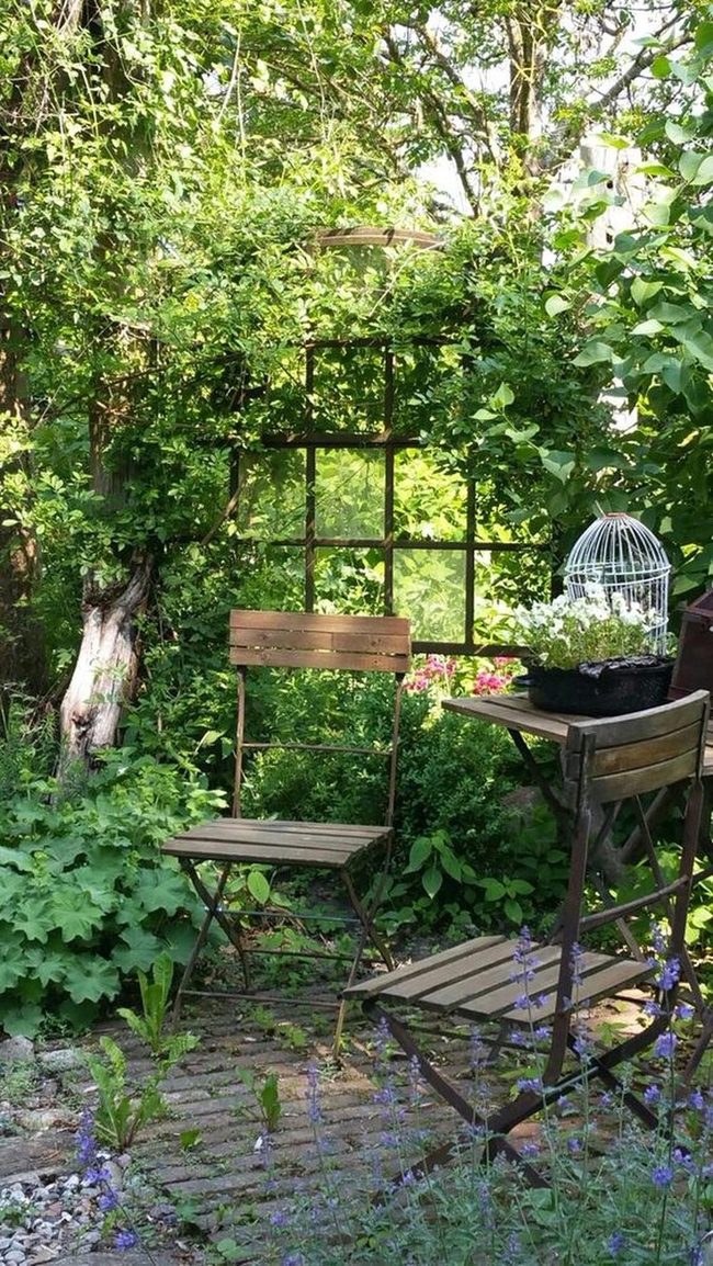 Dappled Sunlight Through Leafy Shadows