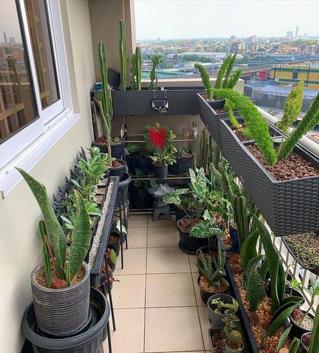 Cascading Herbs Over Metal Railings