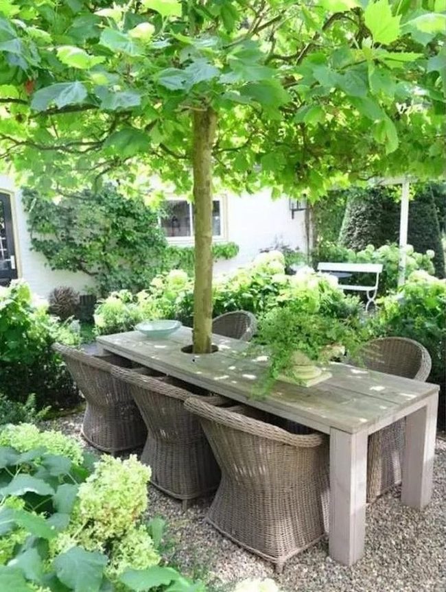 Green Canopy Outdoor Dining