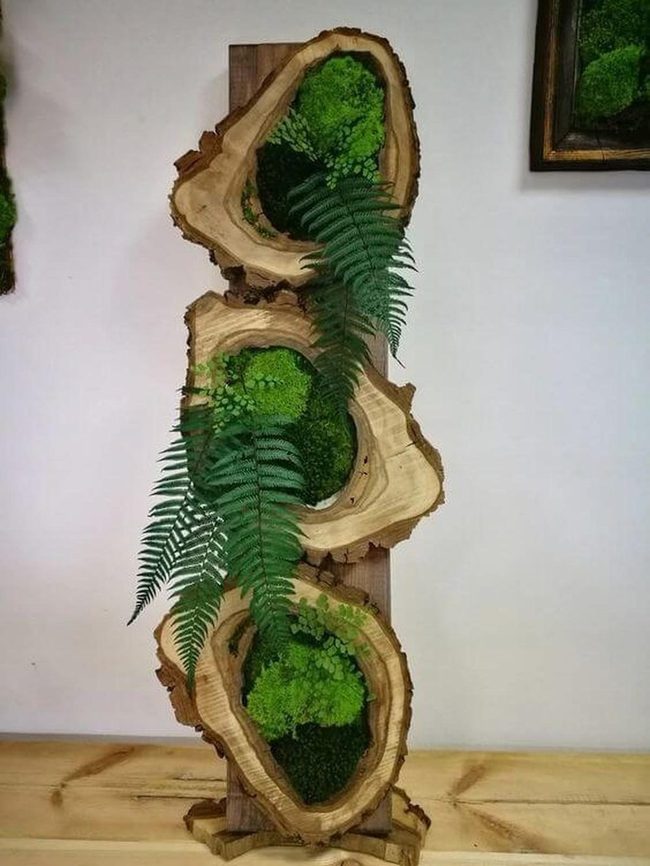 Wood Slices With Cascading Green