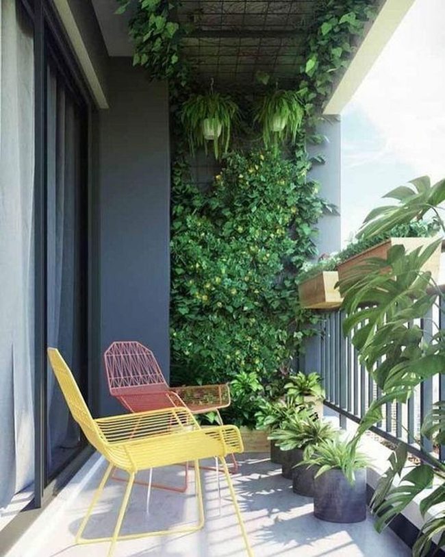 Vertical Green Living Wall