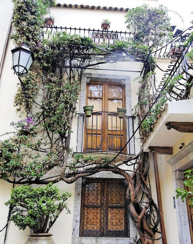 Ivy Draped Courtyard With Iron Details