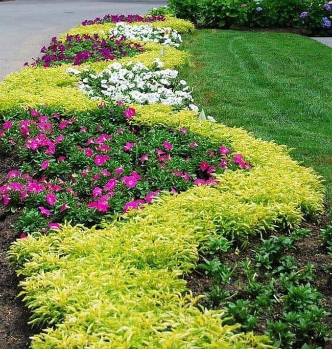 Curved Layers Guide Garden Eyes