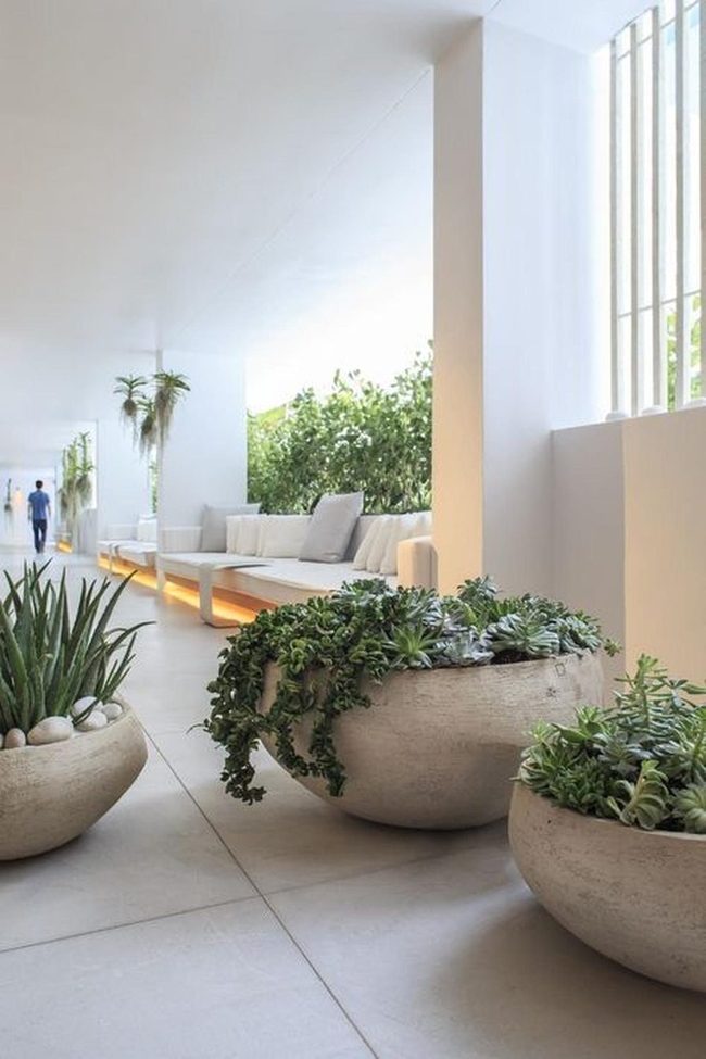 Hanging Greenery Meets Concrete Calm