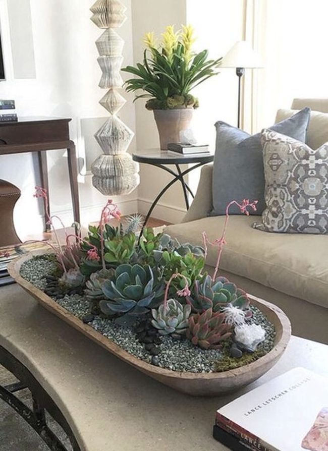 Desert Geometry In Living Green