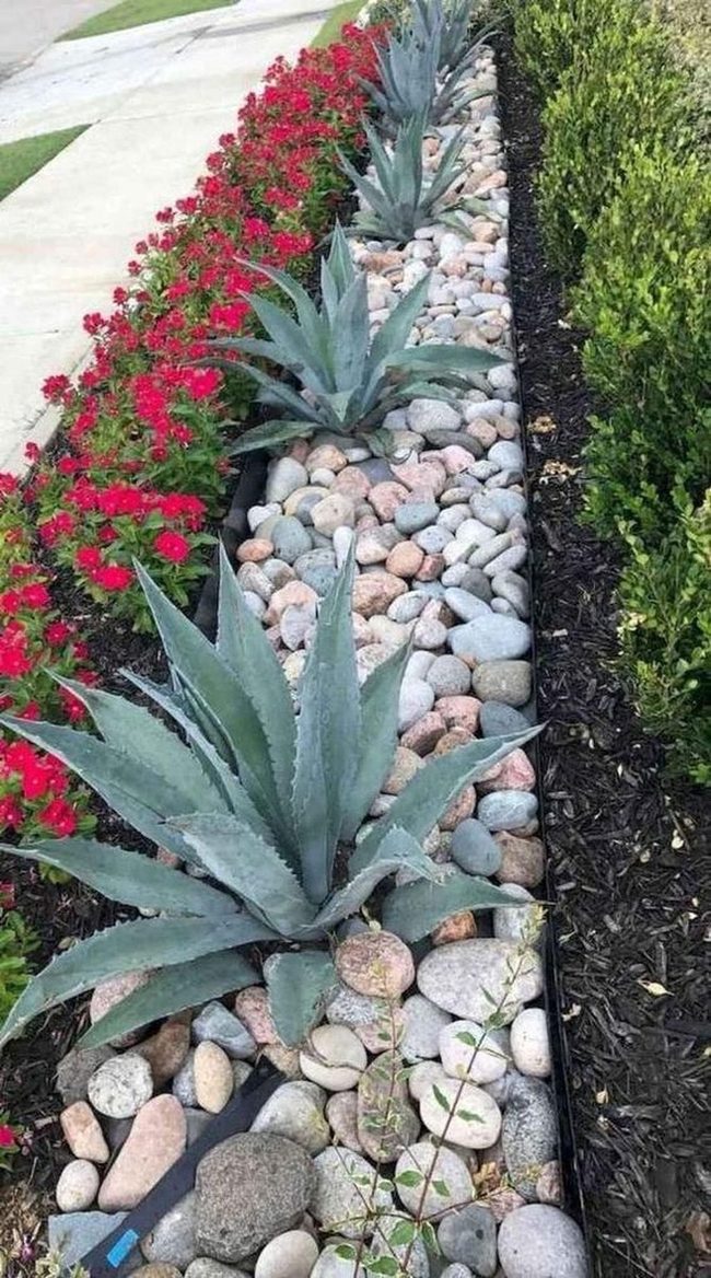 Blue-Green Agave With Red Blooms