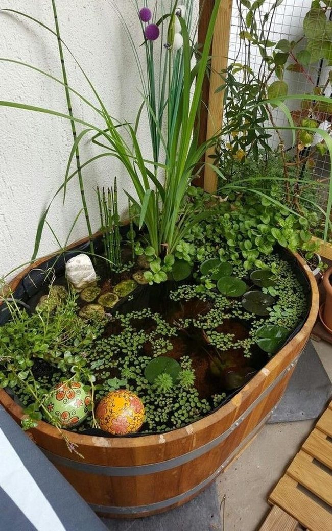 Wooden Barrel Ponds With Floating Plants