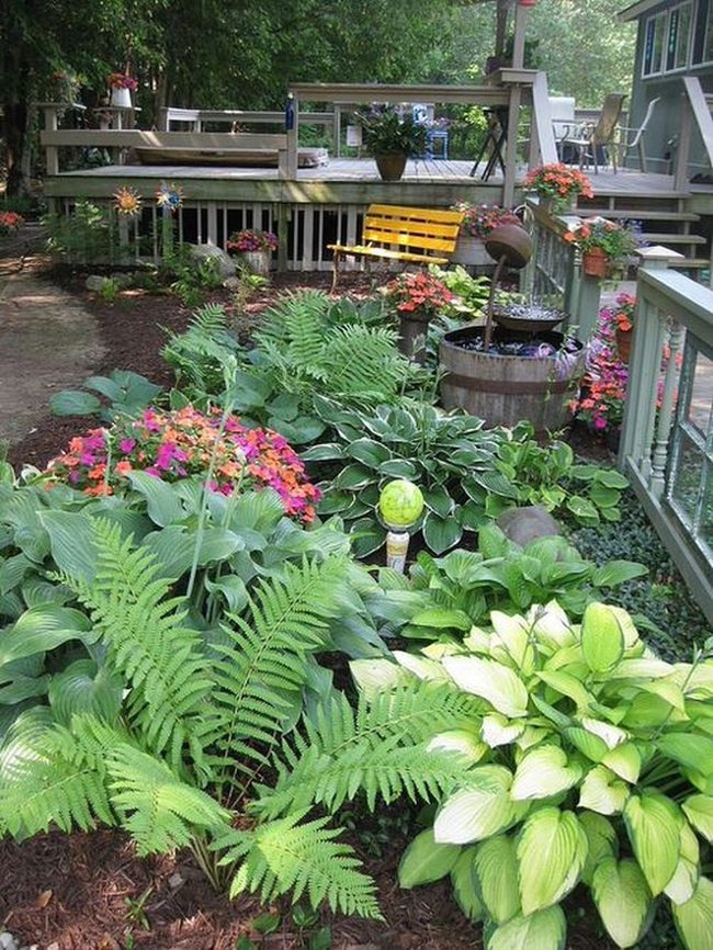 Pink Impatiens Light Up Shadows