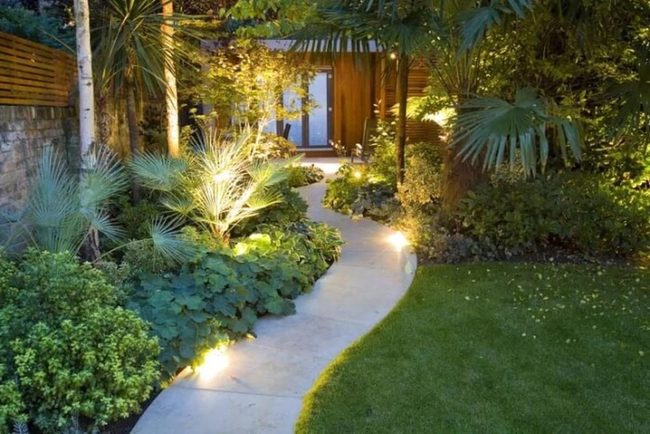 Stone Path Through Layered Greenery