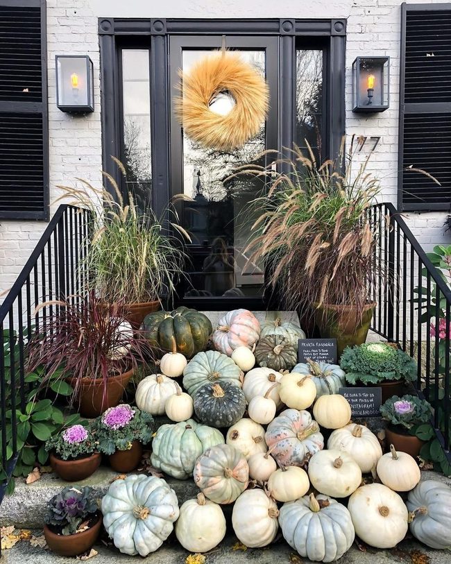Winter-Proof Ornamental Grasses Year-Round