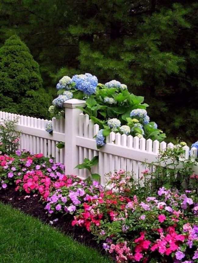 Pink Impatiens Frame White Picket Charm