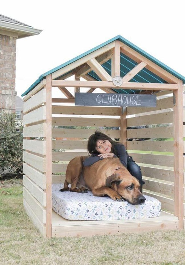 Wooden Dog House With Glowing String Lights