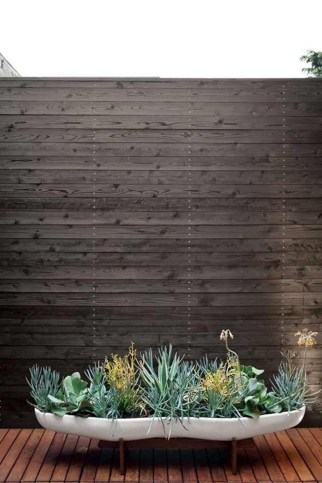 Vintage Tub Succulent Garden