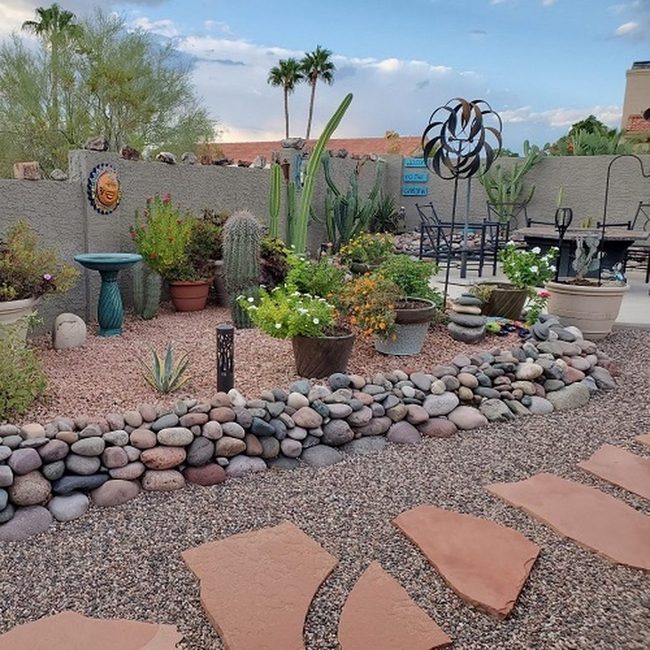 Rocks, Succulents, Desert Blooms