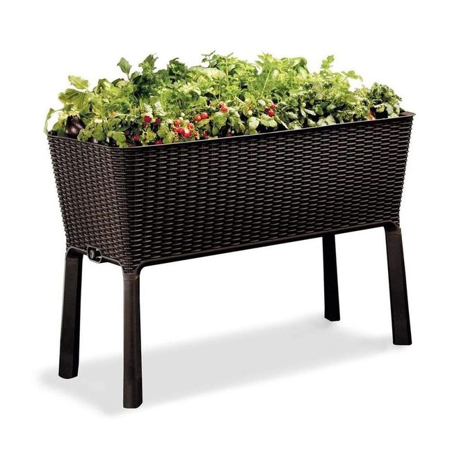 Raised Beds Built-In Watering System