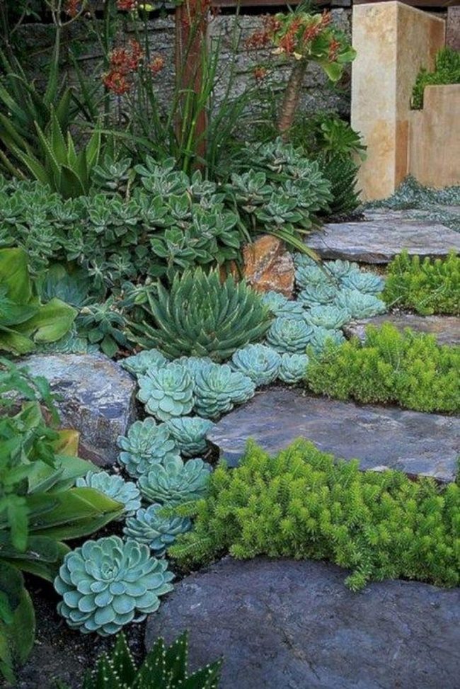 Winding Stone Paths Through Succulents