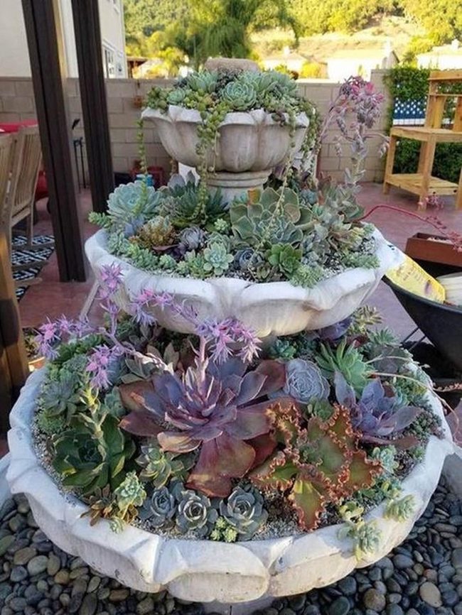 Succulent Stone Garden With Layered Greens