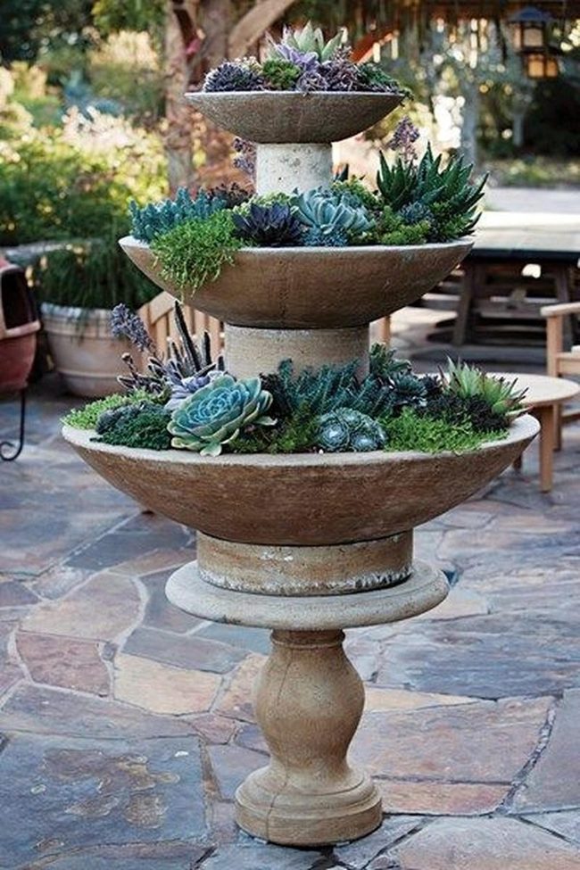 Tiered Stone Succulent Garden Display