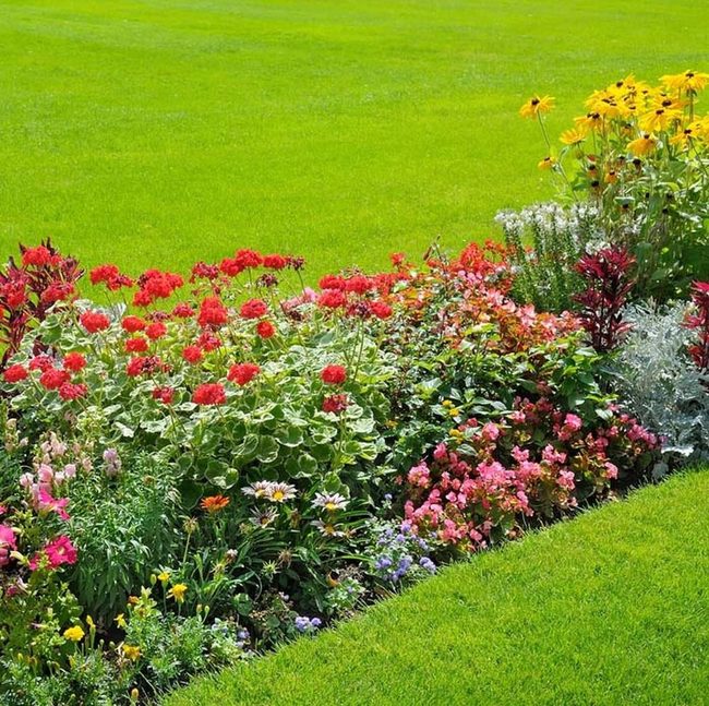 Colorful Flower Beds Transform Yards