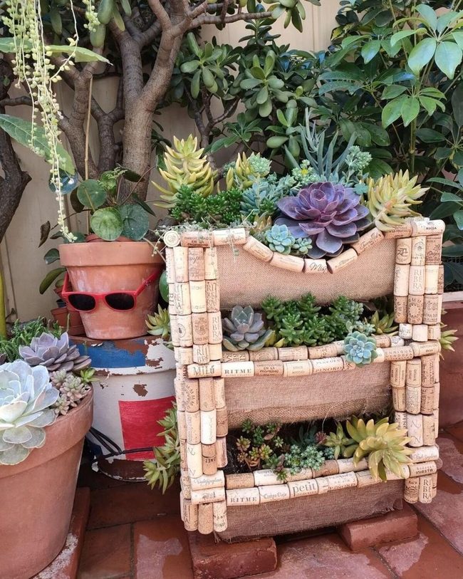 Vertical Wall Succulents Natural Wood