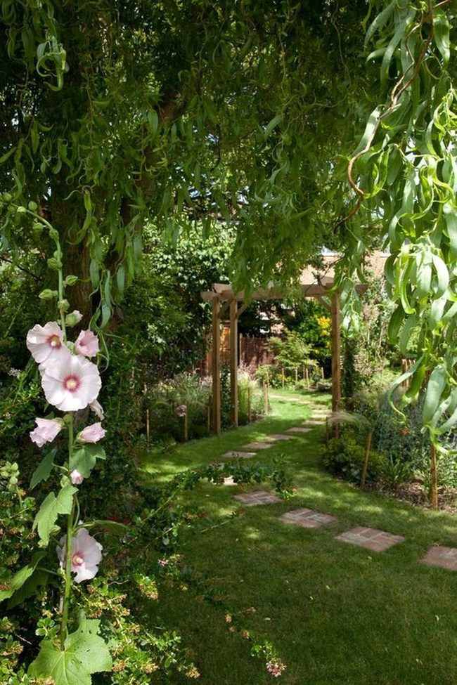 Dappled Green Path With Pink Blooms