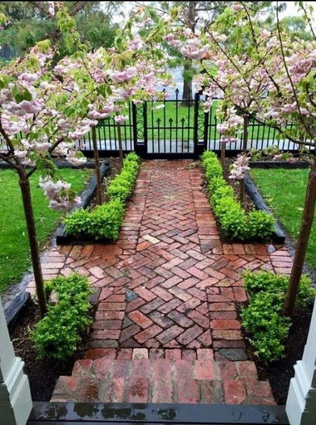 Pink Blooms Against Brick Pathways