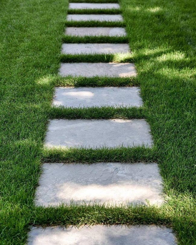 Geometric Stone Meets Living Grass