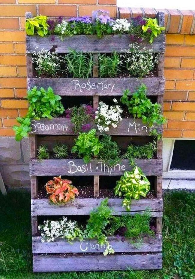 Vertical Wooden Herb Wall