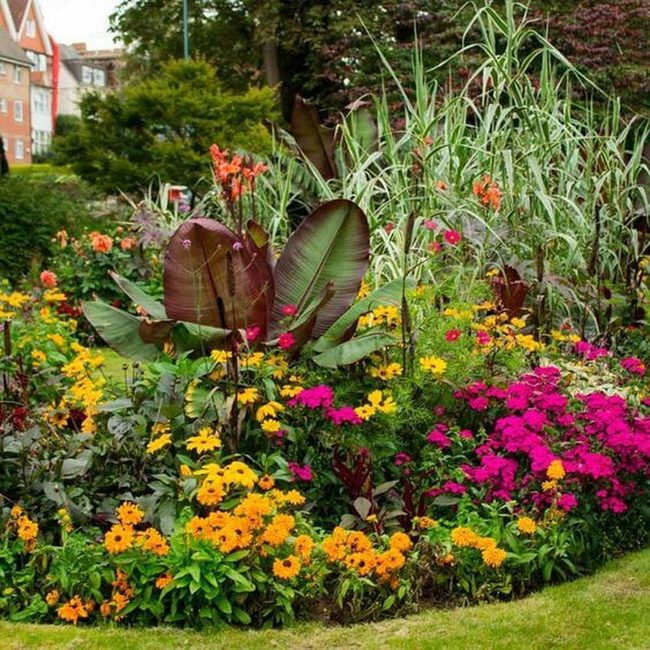 Colorful Blooms With Layered Heights