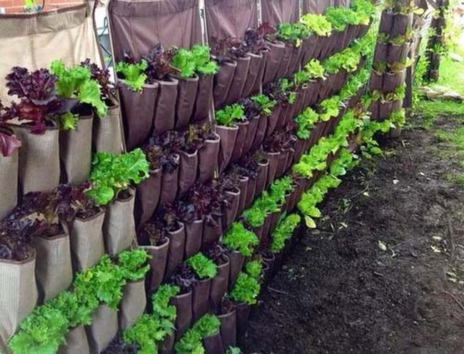 Pocket Garden Fence Wall