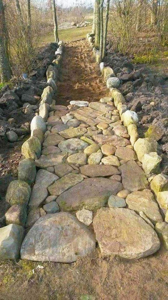 Stone Path Through Young Trees
