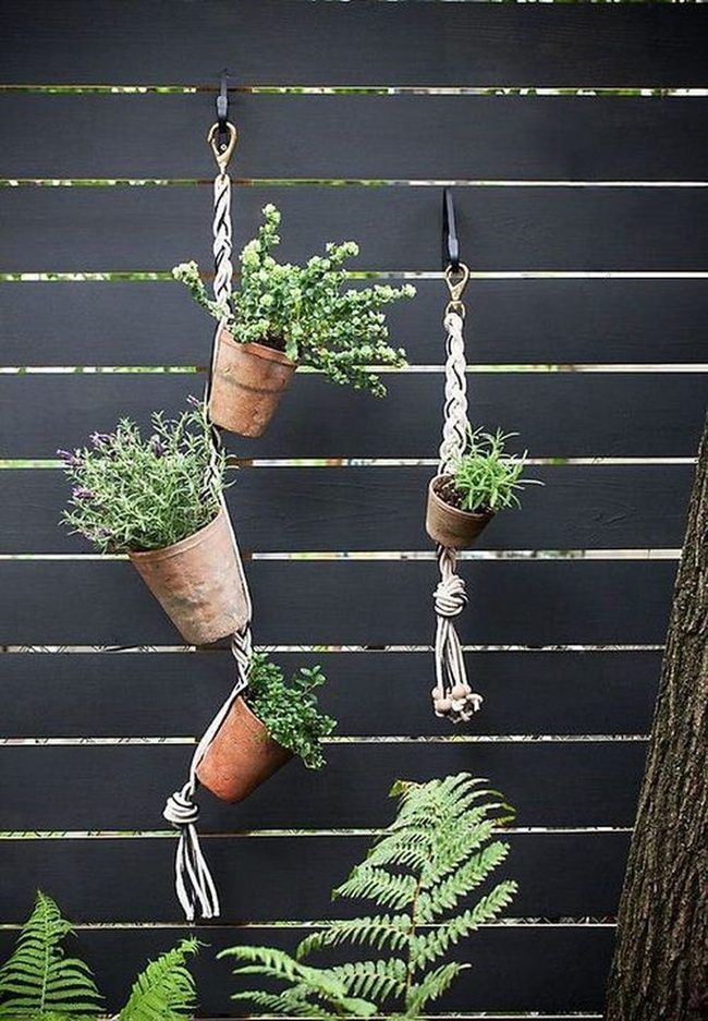 Vertical Green Fence Gardens