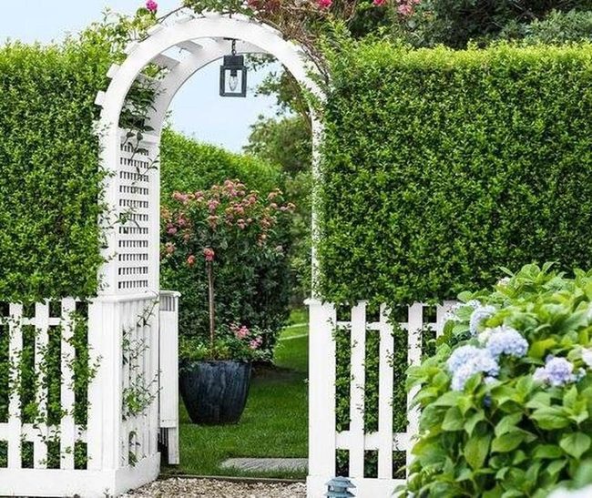 Curved Hedge Gate Entry Point