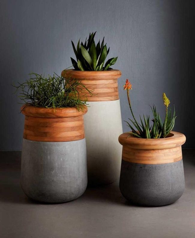 Gray Concrete Pots With Wood Rims