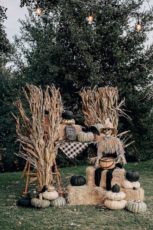 Scarecrows, Pumpkins, String Lights Harvest