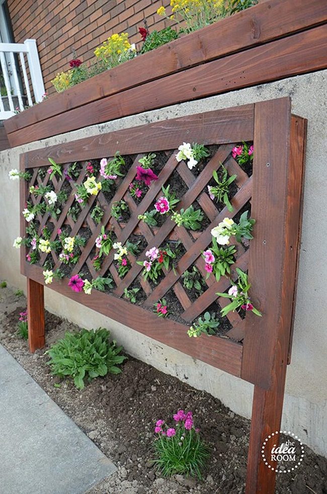 Flowering Lattice Wall Magic