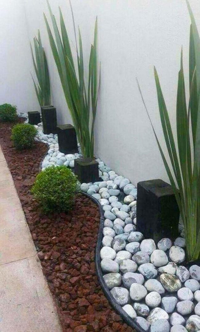 Tall Green Plants With Pale Stone Curves